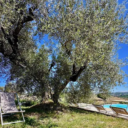 Pensión In House - Il Girasole On The Hills Of Senigallia, A Stones Throw From The Sea *