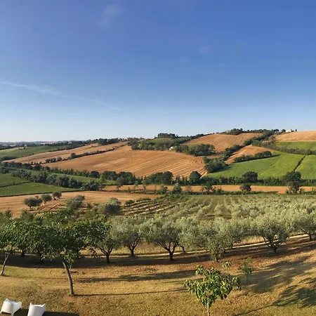 In House - Il Girasole On The Hills Of Senigallia, A Stones Throw From The Sea Roncitelli