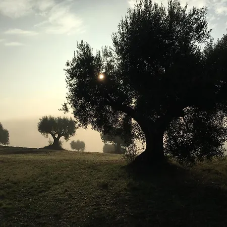 In House - Il Girasole On The Hills Of Senigallia, A Stones Throw From The Sea Pensión *