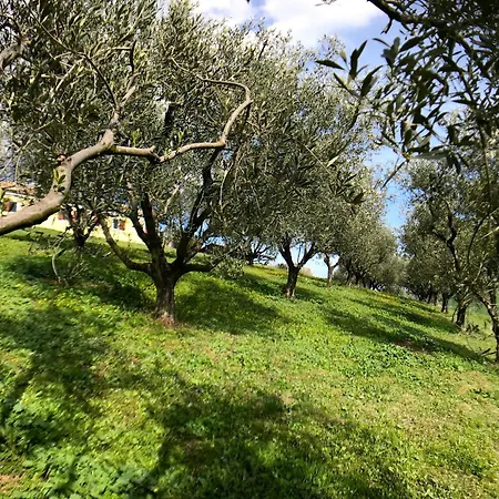 In House - Il Girasole On The Hills Of Senigallia, A Stones Throw From The Sea